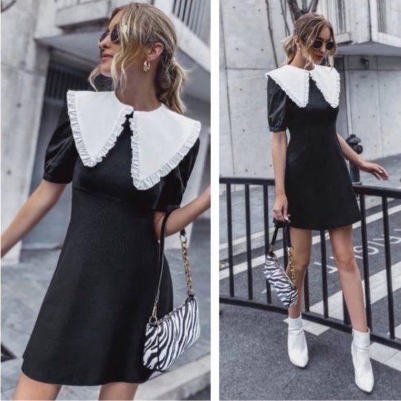 Zara Peter Pan Collar Knit Dress Size Small - Picture 2 of 5